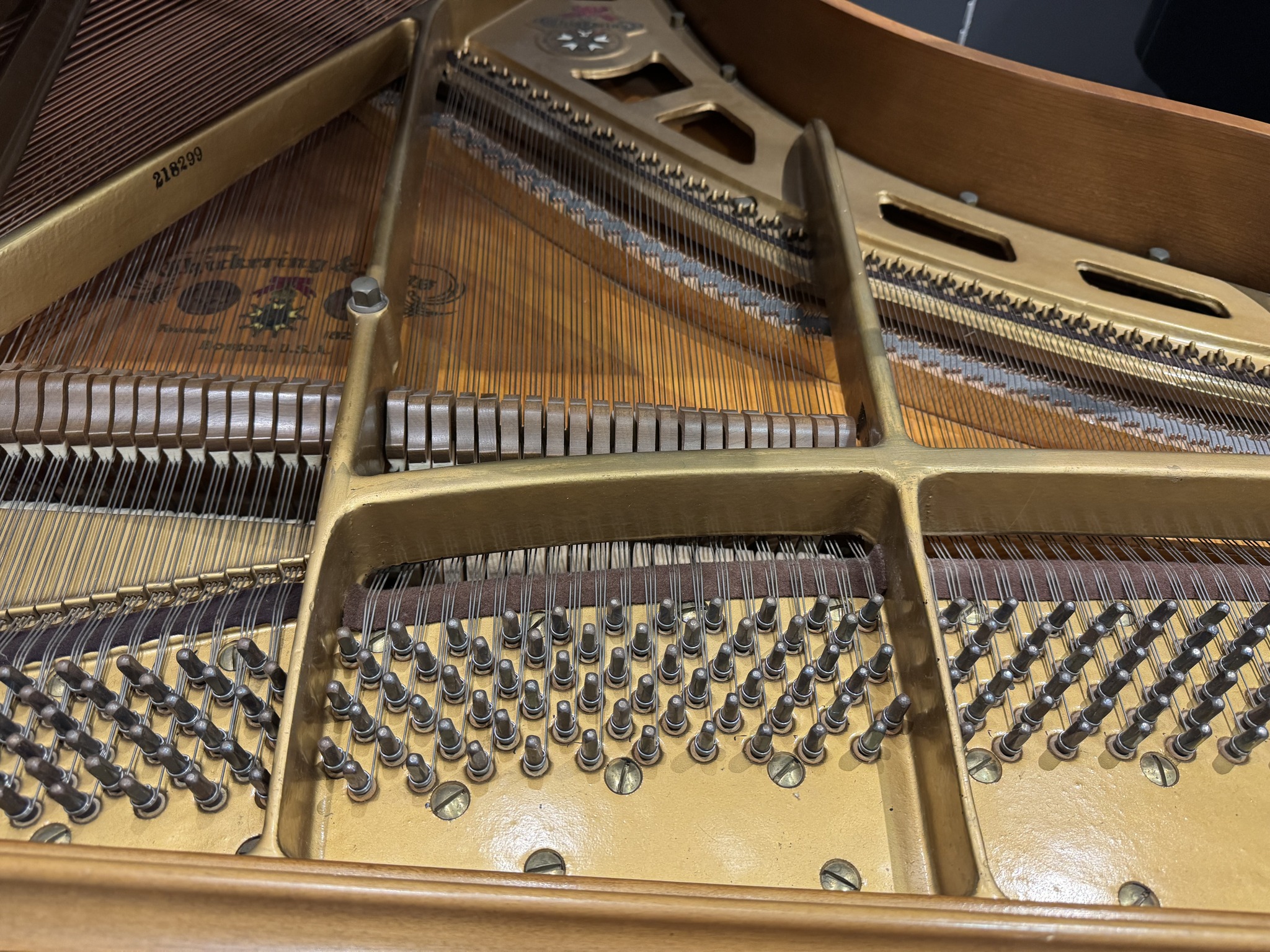 Chickering — American Walnut piano detail
