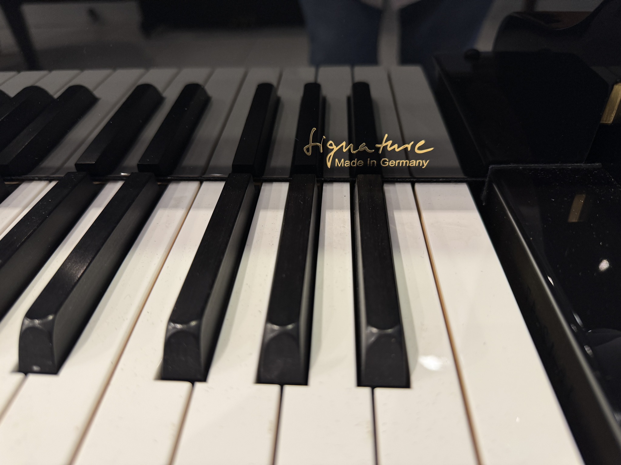 Wilhelm Steinberg piano detail