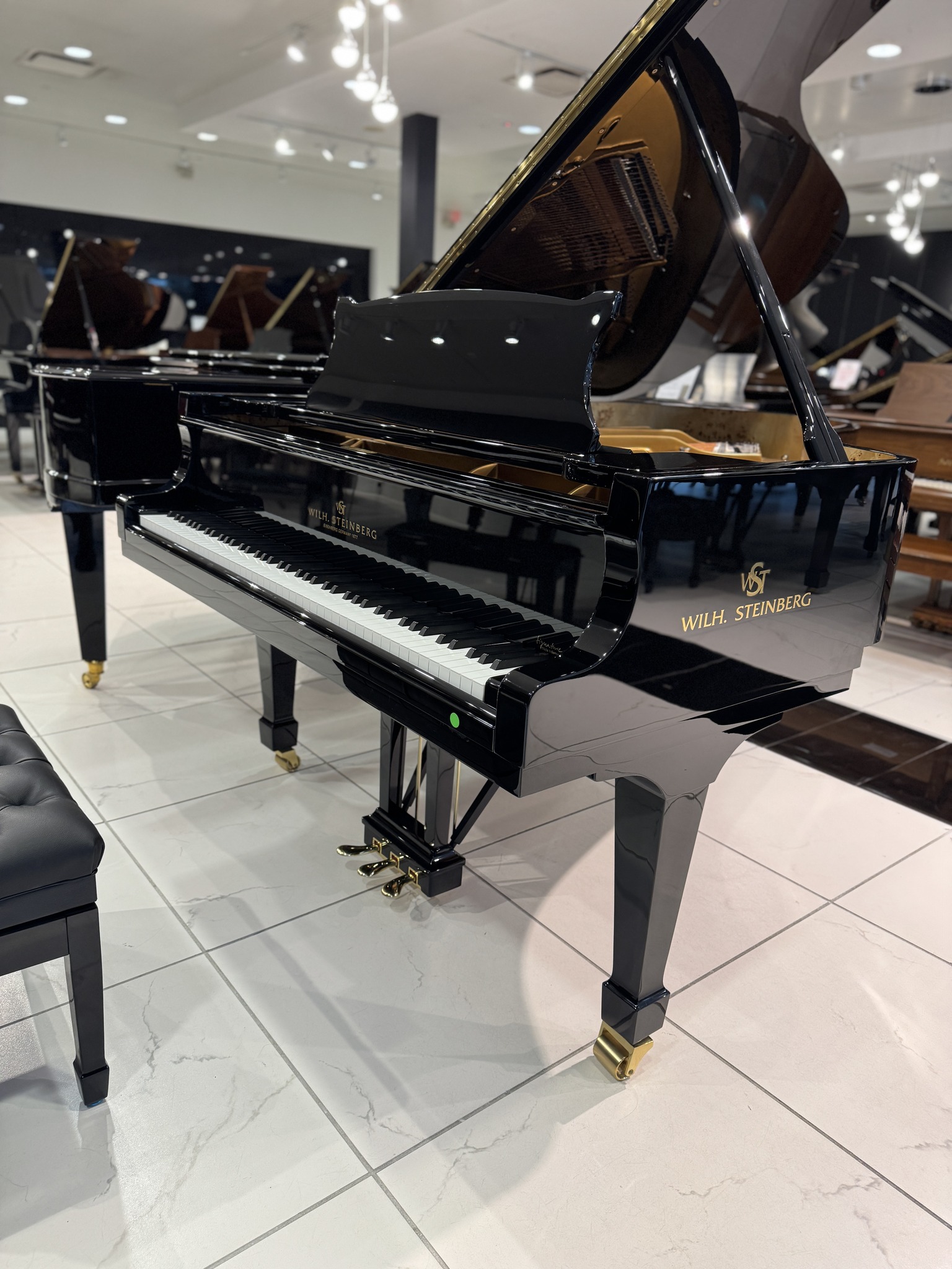 Wilhelm Steinberg piano detail